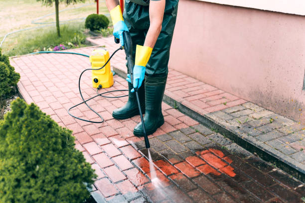 Best Animal Enclosure Cleaning  in Mcgraw, NY