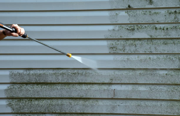 Best Gutter Cleaning  in Mcgraw, NY