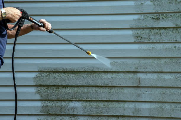 Best Sidewalk and Walkway Cleaning  in Mcgraw, NY